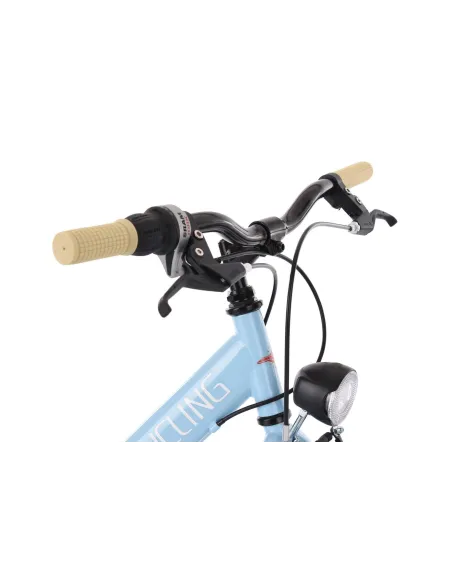 Dziewczęcy Rower Miejski 24 Bagażnik 6 Bieg Damka