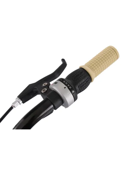 Dziewczęcy Rower Miejski 24 Bagażnik 6 Bieg Damka