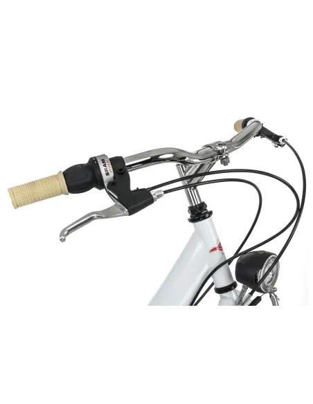 Dziewczęcy Damski Rower Miejski 26 Bagażnik