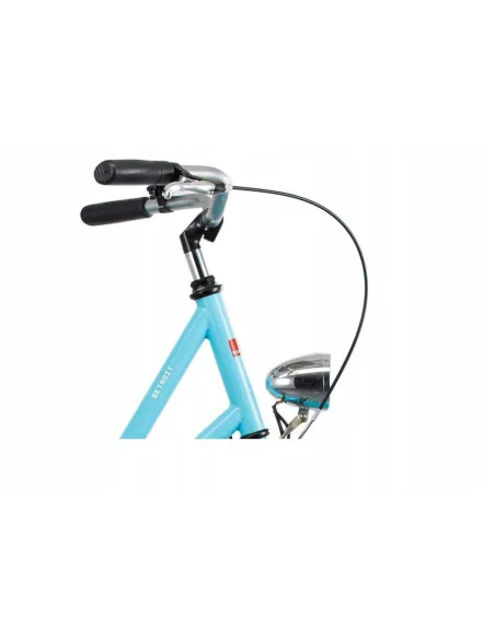 Rower Holenderka Miejski Ortler 28 Damka Klasyczny