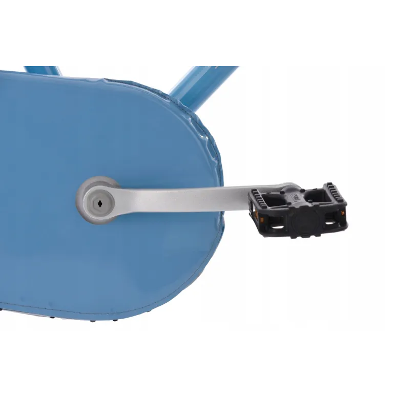 Rower Holenderski 28 Damski Nexus 3 Miejski Dynamo