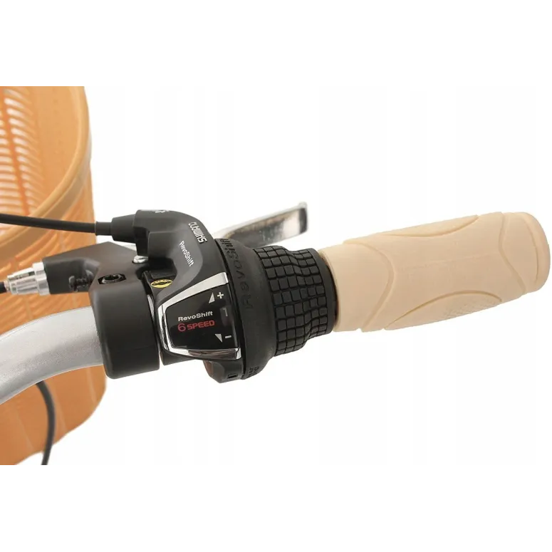 Damski Rower Miejski 28 Klasyczny Akcesoria Retro