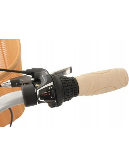 Damski Rower Miejski 28 Klasyczny Akcesoria Retro