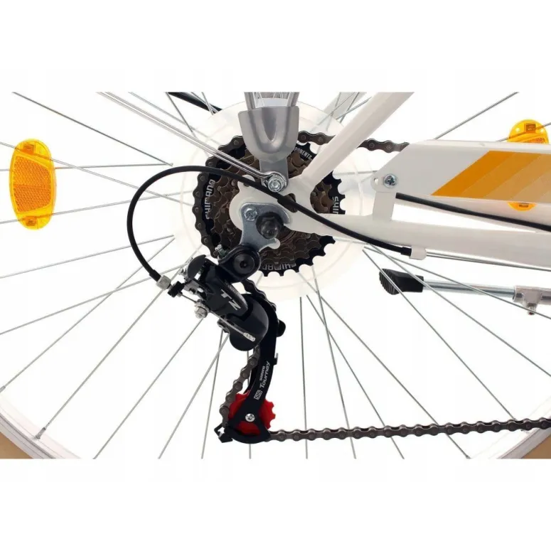 Damski Rower Miejski 28 Klasyczny Akcesoria Retro