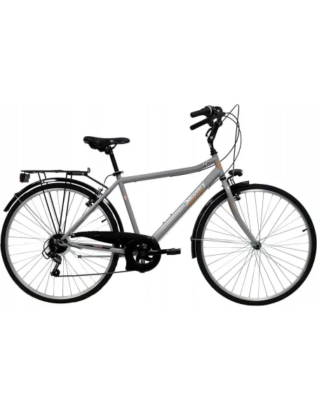 Rower Miejski Męski 28 Błotniki 6 biegów Oświetlenie Stalowa Rama Osłona