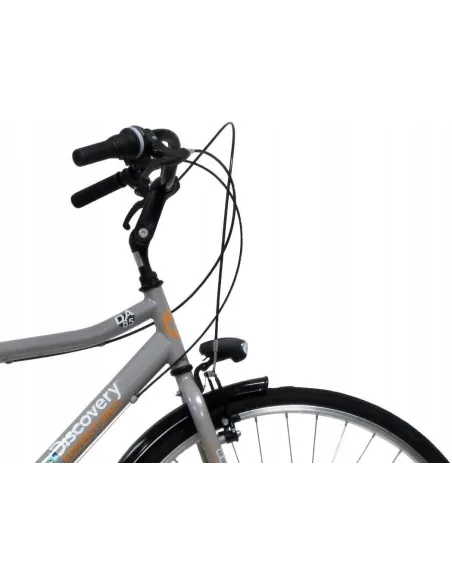 Rower Miejski Męski 28 Błotniki 6 biegów Oświetlenie Stalowa Rama Osłona