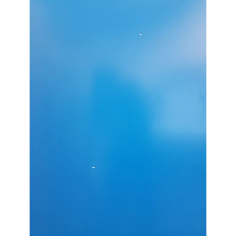 Stół do Ping-Ponga Your Move Składany Kompaktowy do Tenisa Stołowego