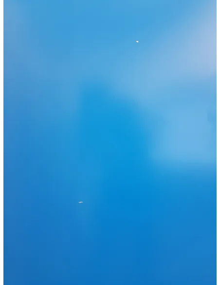 Stół do Ping-Ponga Your Move Składany Kompaktowy do Tenisa Stołowego