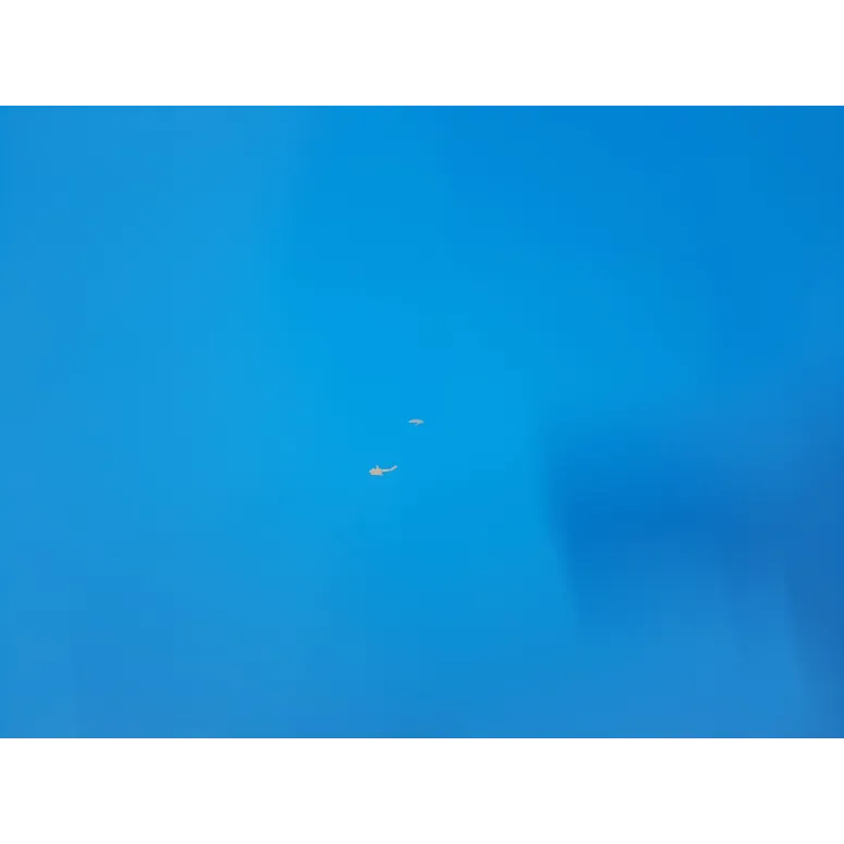 Stół do Ping-Ponga Your Move Składany Kompaktowy do Tenisa Stołowego