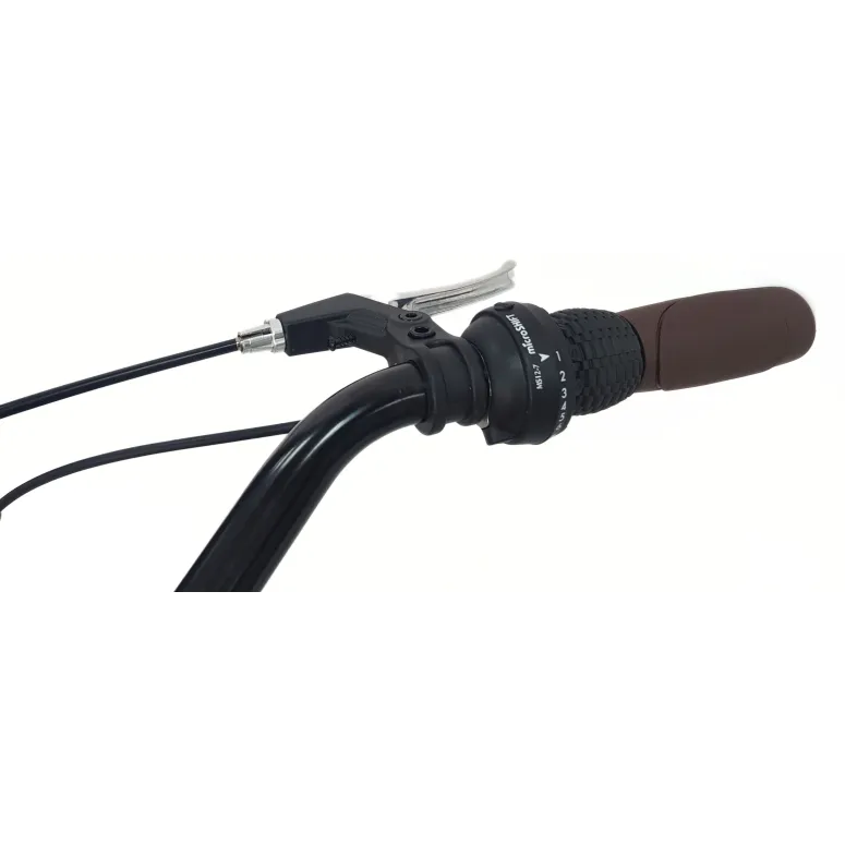 Rower Miejski Uniwersalny 28 Oświetlenie Dzwonek 21 Biegów Stopka Bagażnik