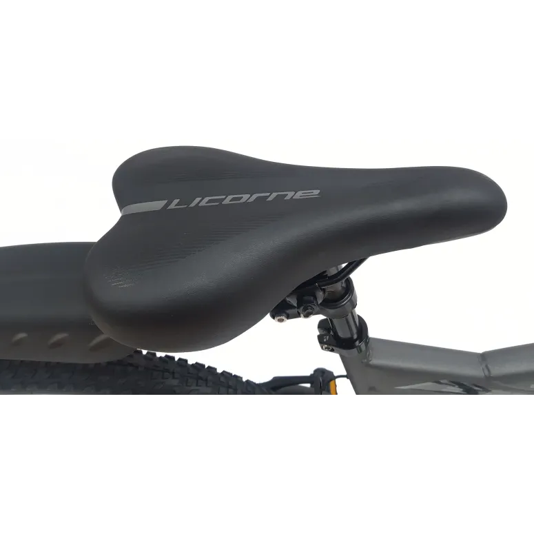 Rower Górski Dziecięcy 24 MTB Młodzieżowy Dzwonek Odblaski Stopka Revo Stal