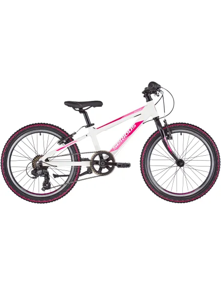 Rowerek Dziecięcy Górski 20 Dziewczynki Aluminiowy