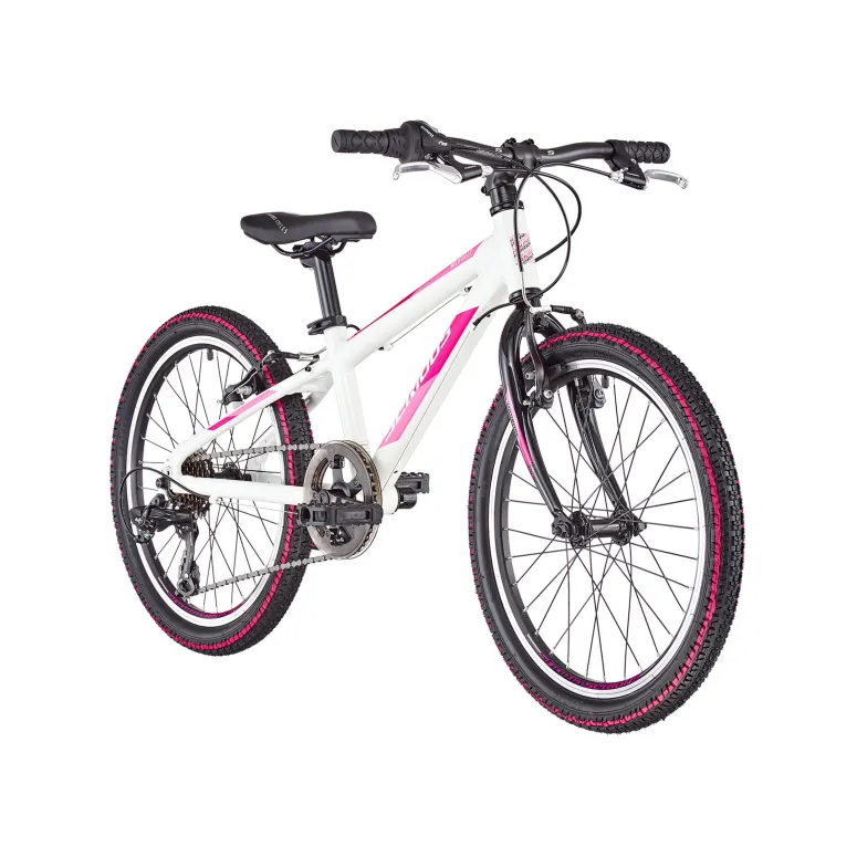 Rowerek Dziecięcy Górski 20 Dziewczynki Aluminiowy