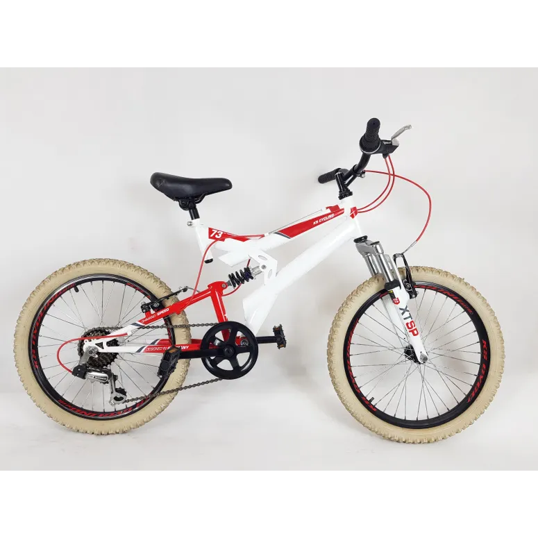 Dziecięcy Rower Górski MTB 20 Góral Chłopca