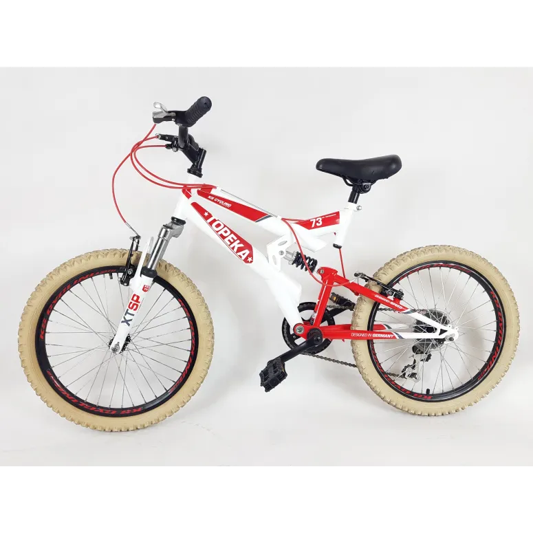 Dziecięcy Rower Górski MTB 20 Góral Chłopca