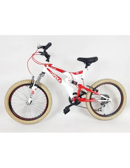 Dziecięcy Rower Górski MTB 20 Góral Chłopca