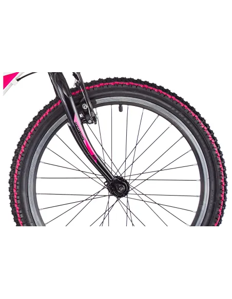 Rowerek Dziecięcy Górski 20 Dziewczynki Aluminiowy