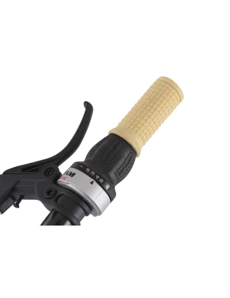 Dziewczęcy Rower Miejski 20 Bagażnik 6 Biegów