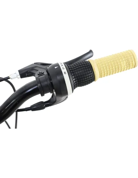 Rower Dziecięcy Miejski Dziewczęcy 20 Bagażnik