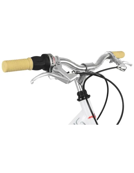 Rower Dziecięcy Miejski Dziewczęcy 20 Bagażnik