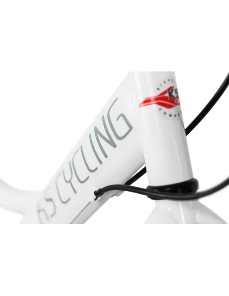 Dziecięcy Rowerek Miejski Dziewczynki 20 Bagażnik