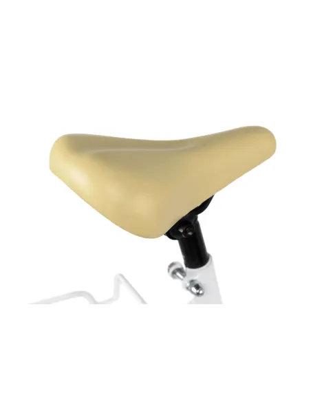 Dziecięcy Rowerek Miejski Dziewczynki 20 Bagażnik