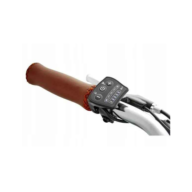 Elektryczny Rower Miejski Męski koła 28 Retro 250W