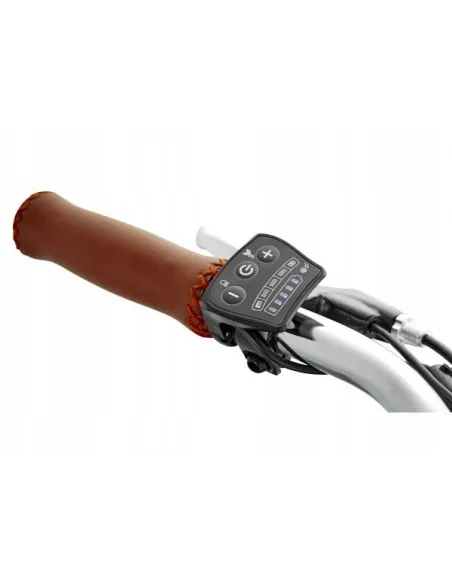 Elektryczny Rower Miejski Męski koła 28 Retro 250W