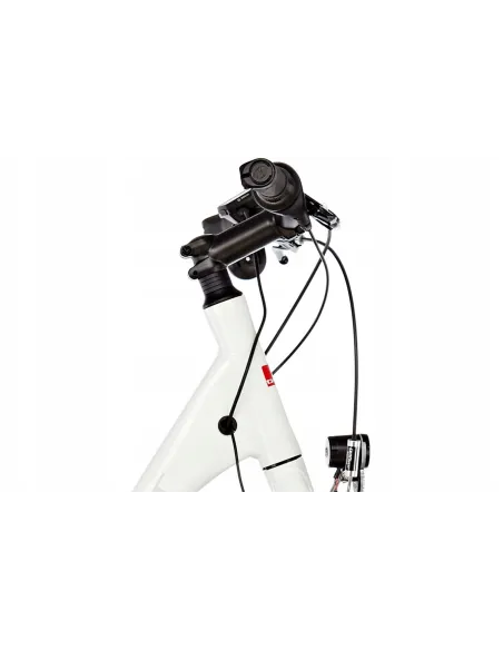 Elektryczny Rower Trekkingowy 28 BOSCH Ortler ALU