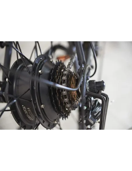 Elektryczny Rower 26 Miejski Wspomaganie Damka