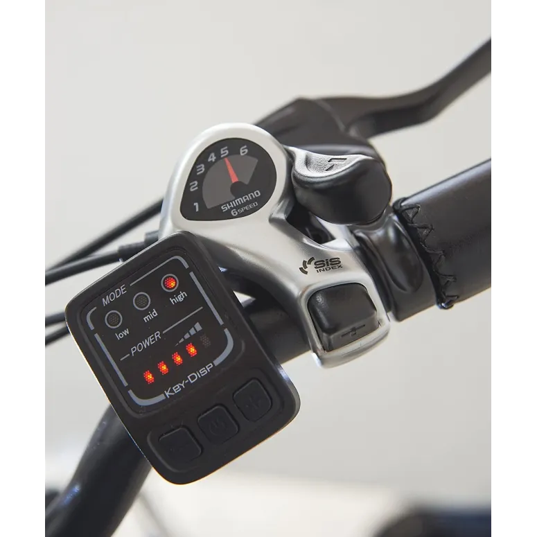 Elektryczny Rower 26 Miejski Wspomaganie Damka