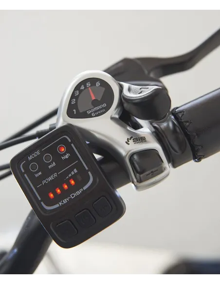 Elektryczny Rower 26 Miejski Wspomaganie Damka