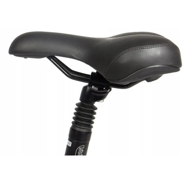 Elektryczny Rower Miejski Składany 20 Nexus 3 250W