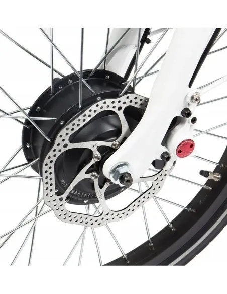 Elektryczny Rower Miejski Składany 20 Nexus 3 250W