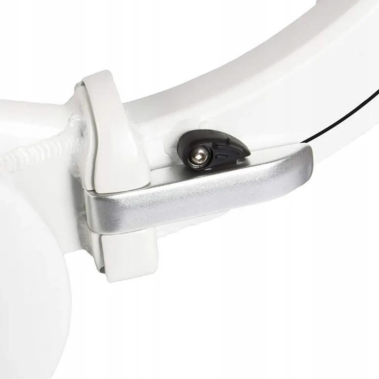 Elektryczny Rower Miejski Składany 20 Nexus 3 250W