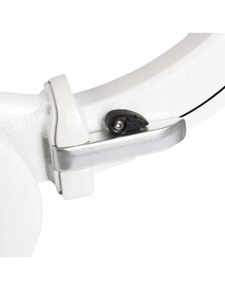 Elektryczny Rower Miejski Składany 20 Nexus 3 250W