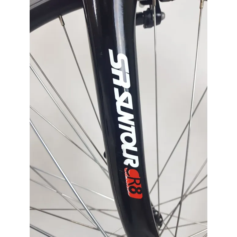 Rower Elektryczny Trekking 28 Nexus 3 Wspomaganie