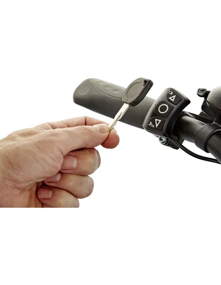 Rower Elektryczny Trekking 28 Nexus 3 Wspomaganie