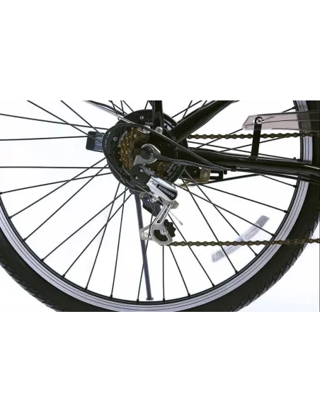 Miejski Rower Elektryczny 26 Wspomaganie 250W