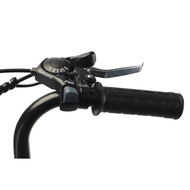 Miejski Rower Elektryczny 26 Wspomaganie 250W