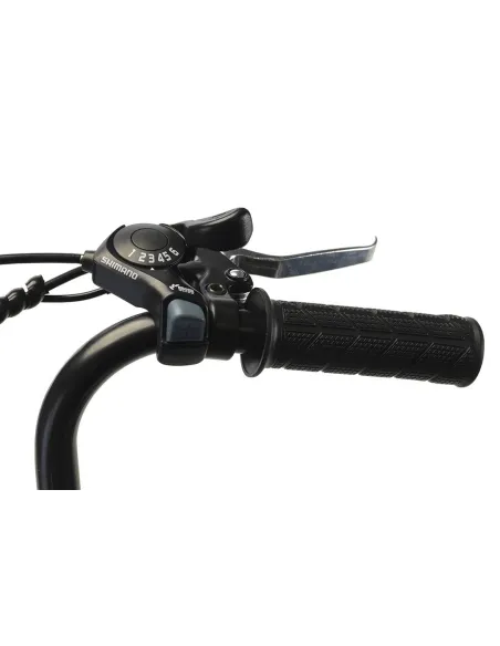 Miejski Rower Elektryczny 26 Wspomaganie 250W