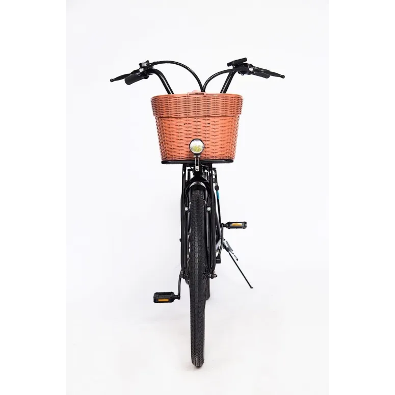 Miejski Rower Elektryczny 26 Wspomaganie 250W