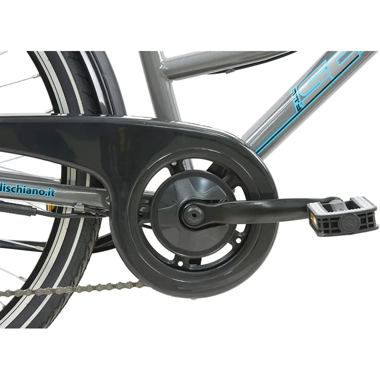 Elektryczny Rower Miejski 26 Wspomaganie 250W