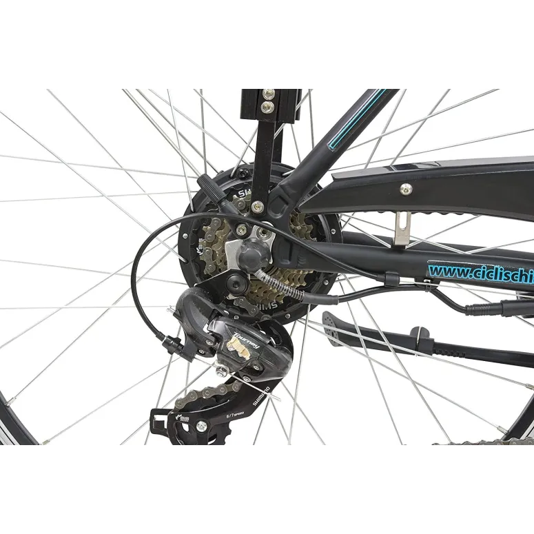 Elektryczny Rower Miejski 26 Wspomaganie 250W