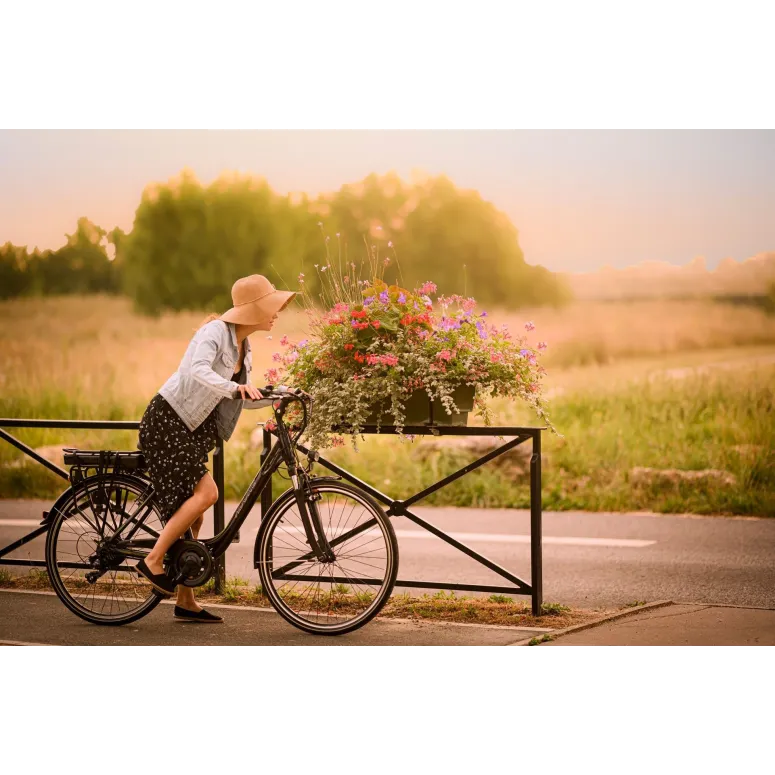 Elektryczny Rower Miejski 28 Damski Męski LED Wspomaganie 5 Tryb Aluminiowy