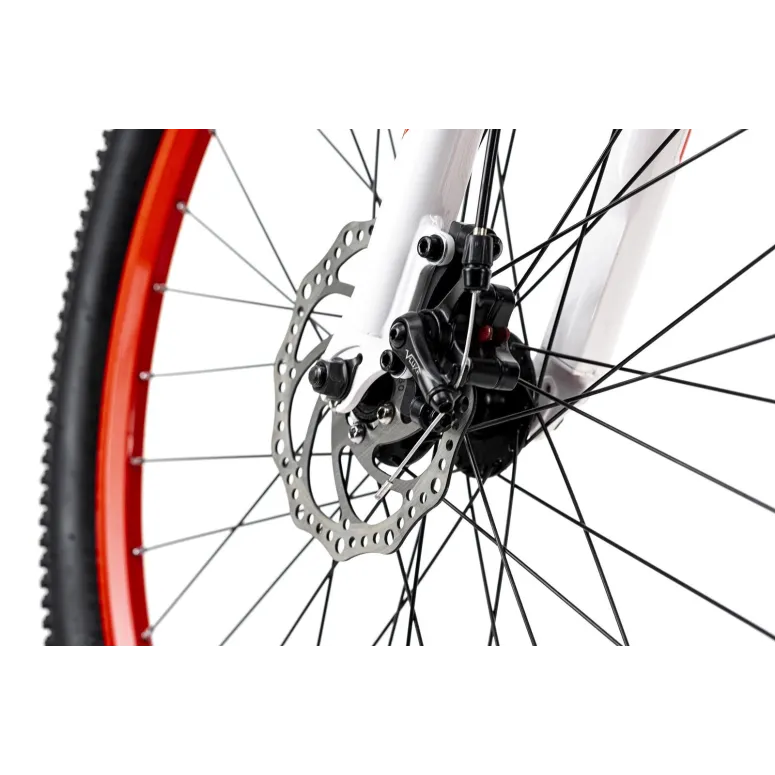 Unisex Rower Górski 26 Tarczowe Błotniki 21 Biegów - 4