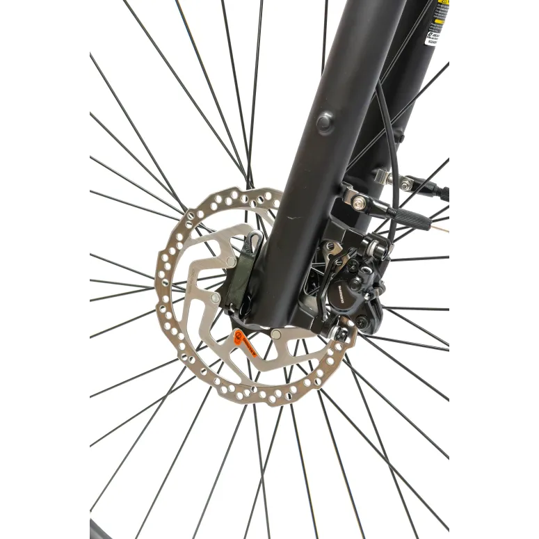 Rower Elektryczny Damski Trekkingowy 28 SHIMANO Nexus 250 W LCD Aluminiowy