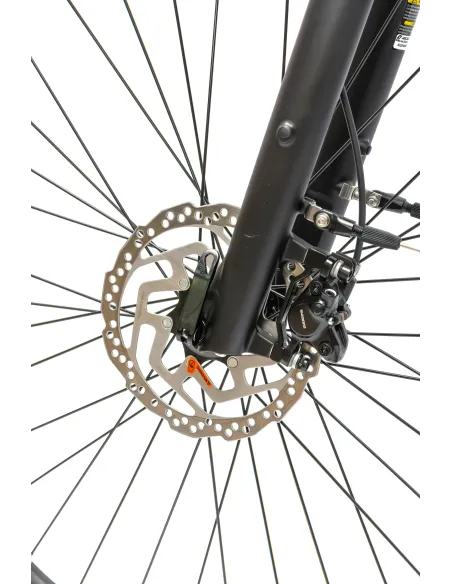 Rower Elektryczny Damski Trekkingowy 28 SHIMANO Nexus 250 W LCD Aluminiowy