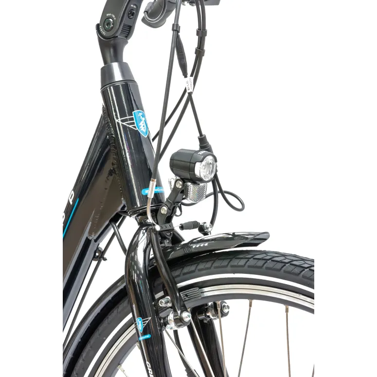 Rower Elektryczny Damski Miejski 26 SHIMANO Nexus 250 W Alu LCD Bagażnik