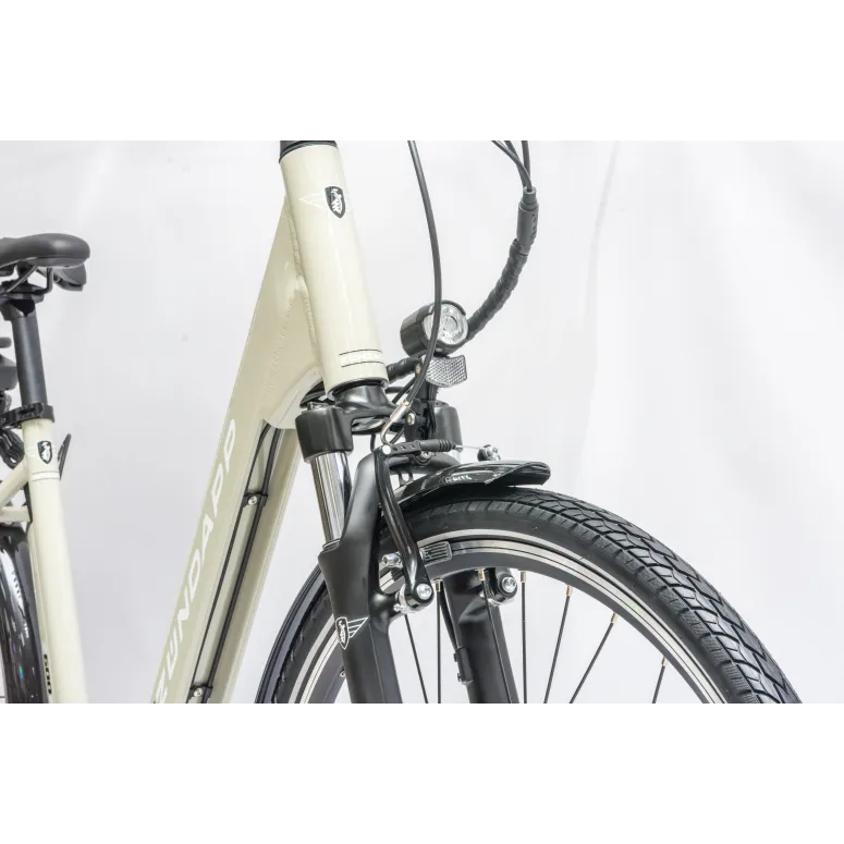 Rower Elektryczny Damski Miejski 28 LCD 250 W SHIMANO Nexus Aluminium Amory